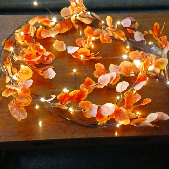 Plow & Hearth 6 ft Fall Eucalyptus Garland with 48 LED Lights & battery timer - Picture 5 of 7